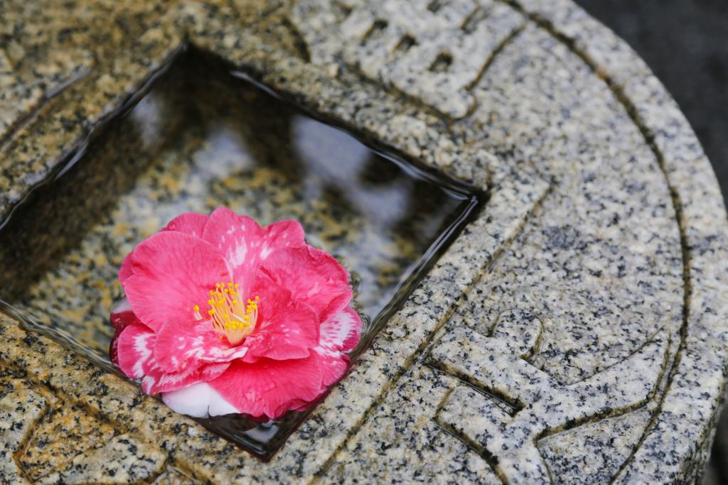 城崎温泉 旅館 つばき乃 - Kinosaki Onsen Ryokan Tsubakino Toyooka  Extérieur photo