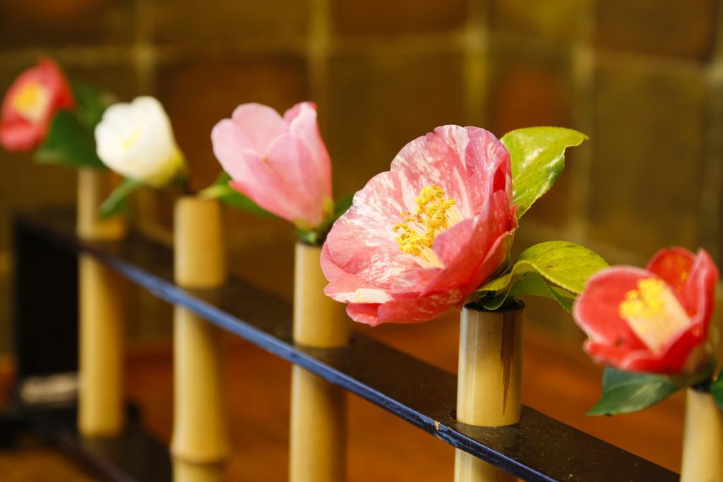 城崎温泉 旅館 つばき乃 - Kinosaki Onsen Ryokan Tsubakino Toyooka  Extérieur photo
