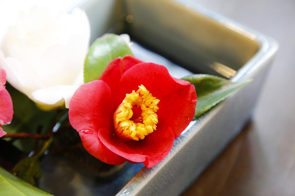 城崎温泉 旅館 つばき乃 - Kinosaki Onsen Ryokan Tsubakino Toyooka  Extérieur photo